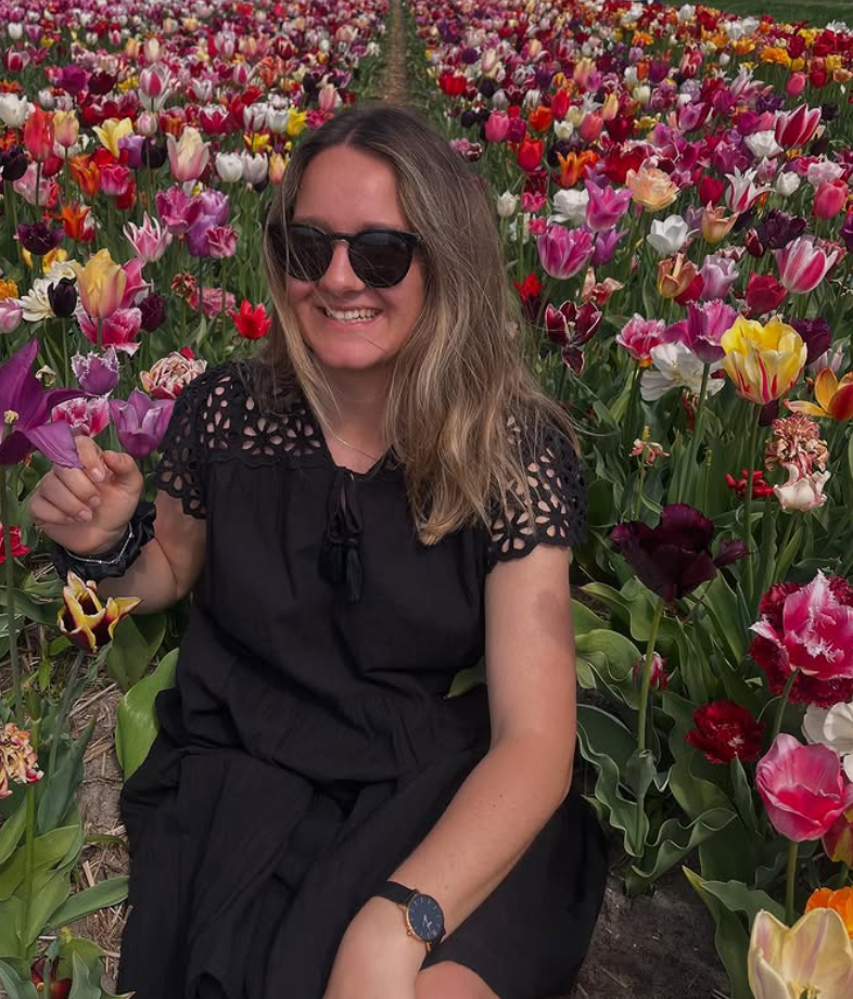 tulpenscreenshot