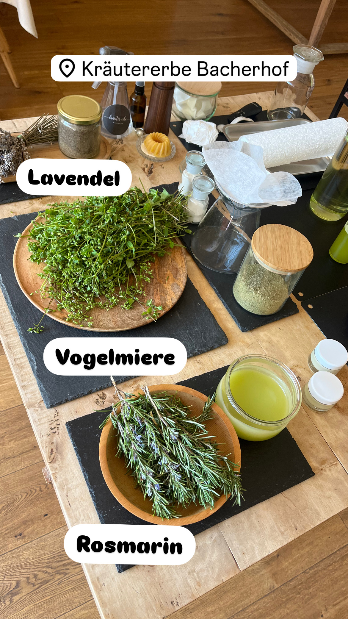 Home kurs6